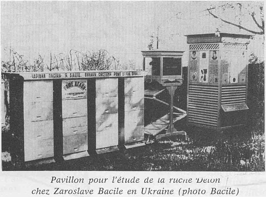 Roger Delon Hives At Mystery Apiary in Ukraine